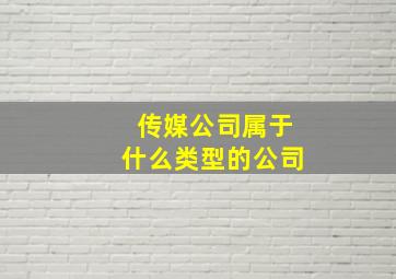 传媒公司属于什么类型的公司