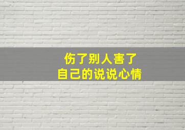 伤了别人害了自己的说说心情