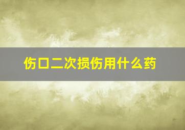 伤口二次损伤用什么药