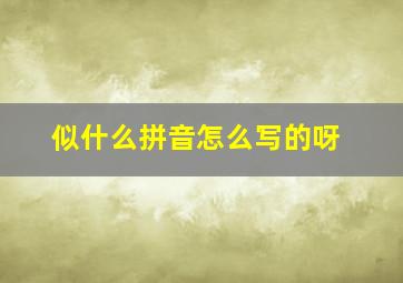 似什么拼音怎么写的呀