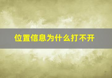 位置信息为什么打不开