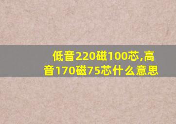 低音220磁100芯,高音170磁75芯什么意思