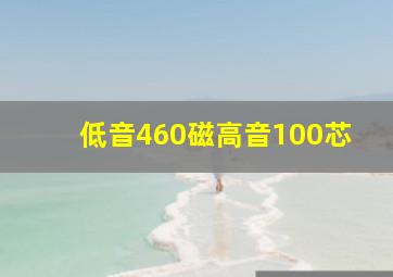 低音460磁高音100芯