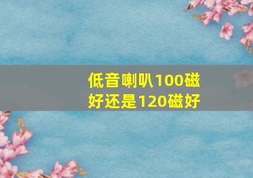 低音喇叭100磁好还是120磁好