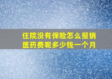 住院没有保险怎么报销医药费呢多少钱一个月