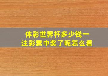 体彩世界杯多少钱一注彩票中奖了呢怎么看