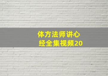 体方法师讲心经全集视频20