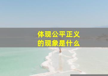 体现公平正义的现象是什么