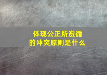 体现公正所遵循的冲突原则是什么