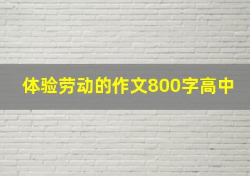 体验劳动的作文800字高中