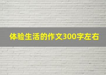 体验生活的作文300字左右