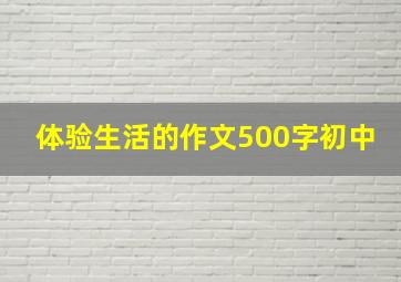 体验生活的作文500字初中