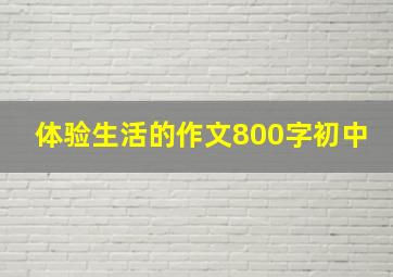 体验生活的作文800字初中