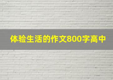 体验生活的作文800字高中