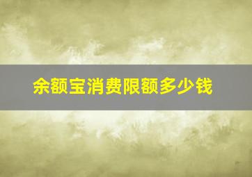 余额宝消费限额多少钱