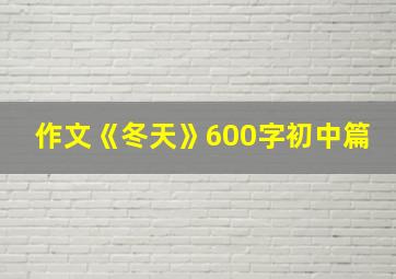 作文《冬天》600字初中篇