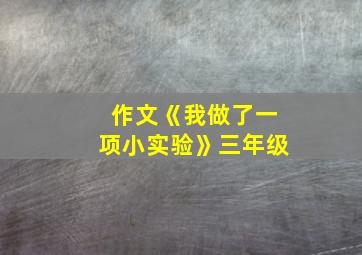 作文《我做了一项小实验》三年级