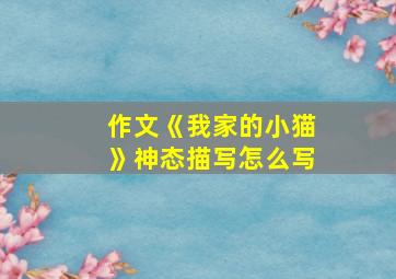 作文《我家的小猫》神态描写怎么写