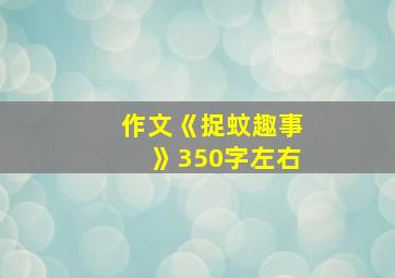 作文《捉蚊趣事》350字左右