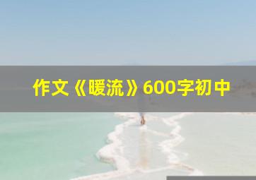 作文《暖流》600字初中