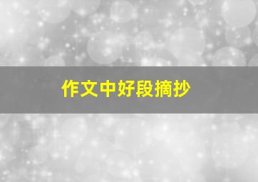 作文中好段摘抄