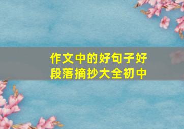 作文中的好句子好段落摘抄大全初中