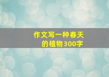 作文写一种春天的植物300字