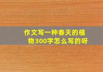 作文写一种春天的植物300字怎么写的呀