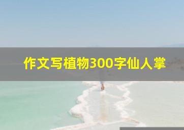 作文写植物300字仙人掌