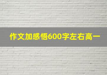 作文加感悟600字左右高一