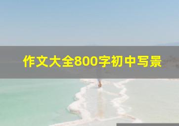 作文大全800字初中写景