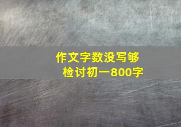 作文字数没写够检讨初一800字