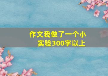 作文我做了一个小实验300字以上