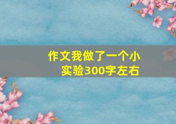 作文我做了一个小实验300字左右