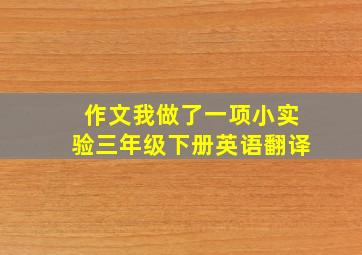 作文我做了一项小实验三年级下册英语翻译