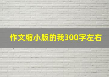 作文缩小版的我300字左右