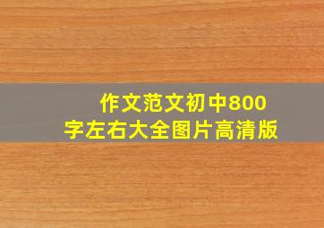 作文范文初中800字左右大全图片高清版