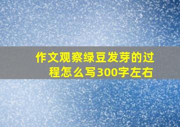 作文观察绿豆发芽的过程怎么写300字左右