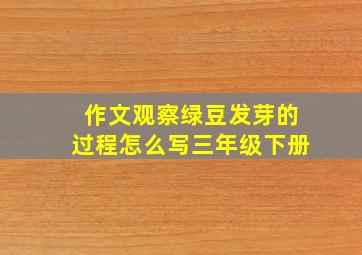 作文观察绿豆发芽的过程怎么写三年级下册