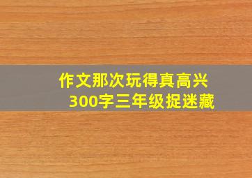 作文那次玩得真高兴300字三年级捉迷藏