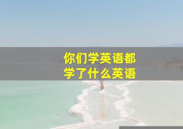 你们学英语都学了什么英语