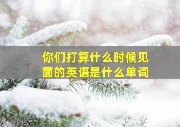 你们打算什么时候见面的英语是什么单词