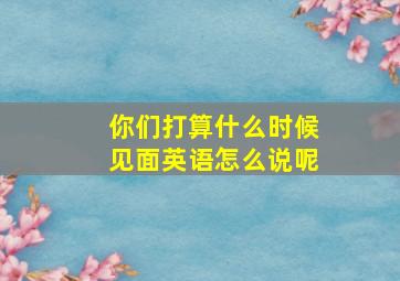 你们打算什么时候见面英语怎么说呢