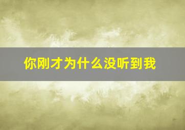 你刚才为什么没听到我