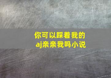 你可以踩着我的aj亲亲我吗小说