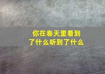 你在春天里看到了什么听到了什么