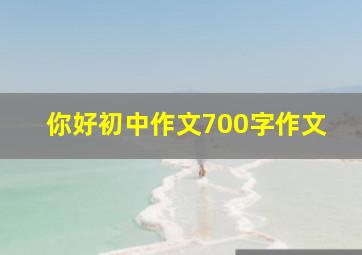 你好初中作文700字作文