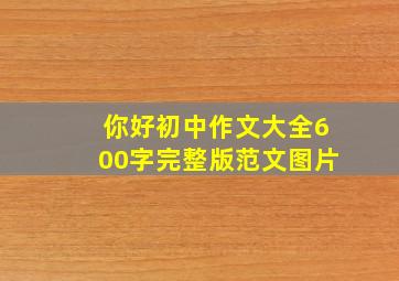 你好初中作文大全600字完整版范文图片