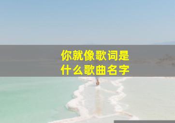 你就像歌词是什么歌曲名字