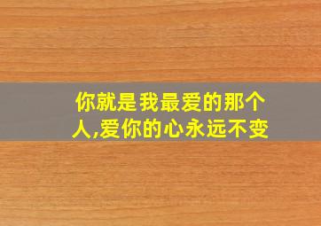 你就是我最爱的那个人,爱你的心永远不变